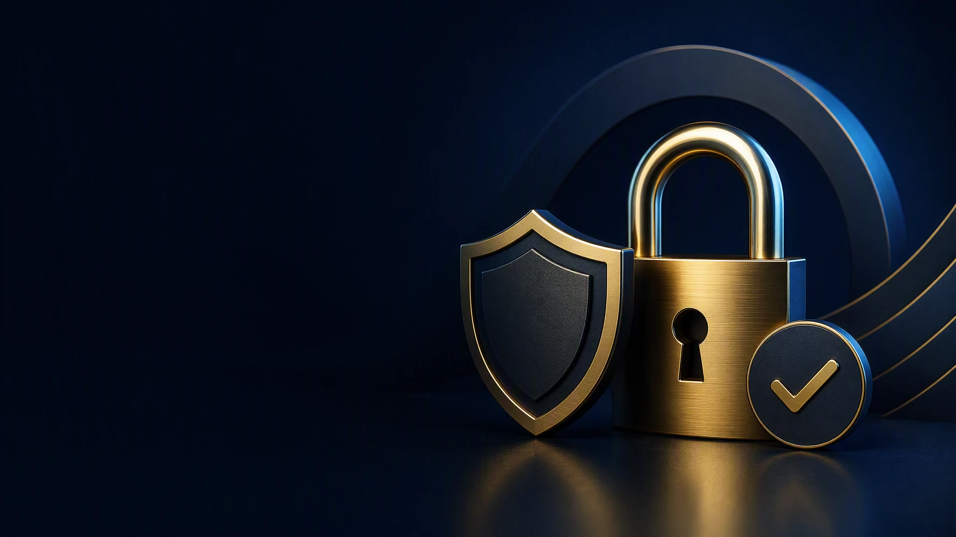 Padlock, shield and confirmation mark representing privacy controls
